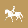 Film compilation of the Equi Forma Event ready!