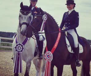 Goede berichten over door ons verkochte paarden!