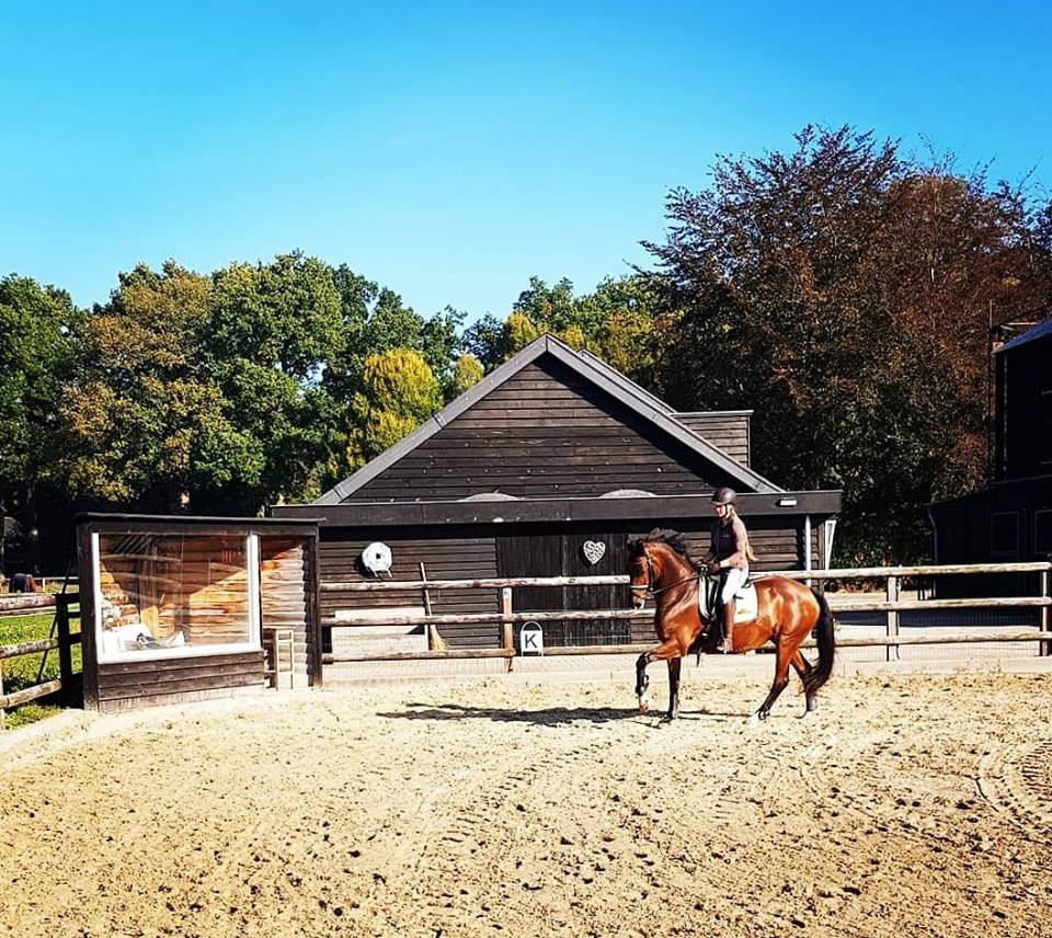 Laatste loodjes maar nog heerlijk bezig en genieten van het najaarszonnetje!